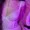 LolaDancing from bongacams