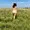 Jessica4You from jerkmate