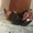 Ataraxia_hot from stripchat