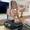 Lara-CumKitten from stripchat