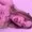 Zx001Li from stripchat